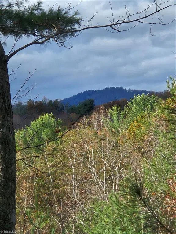 0 Sutter's Ridge Lt 112 Rock Wall Road McGrady, NC 28649