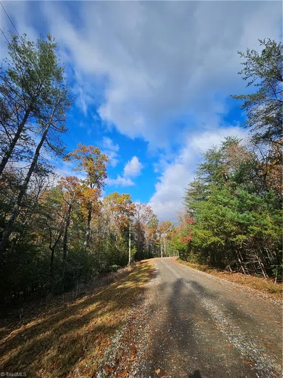 0 Sutter's Ridge Lt 112 Rock Wall Road McGrady, NC 28649