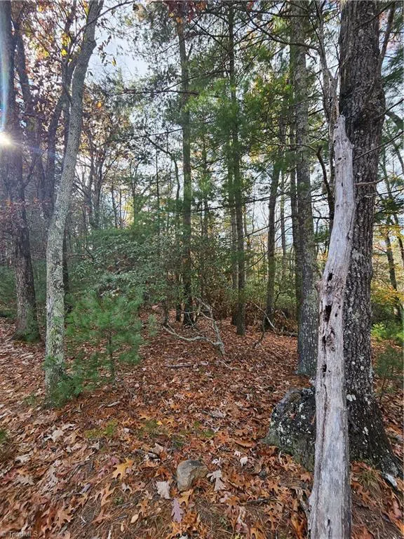 0 Sutter's Ridge Lt 112 Rock Wall Road McGrady, NC 28649