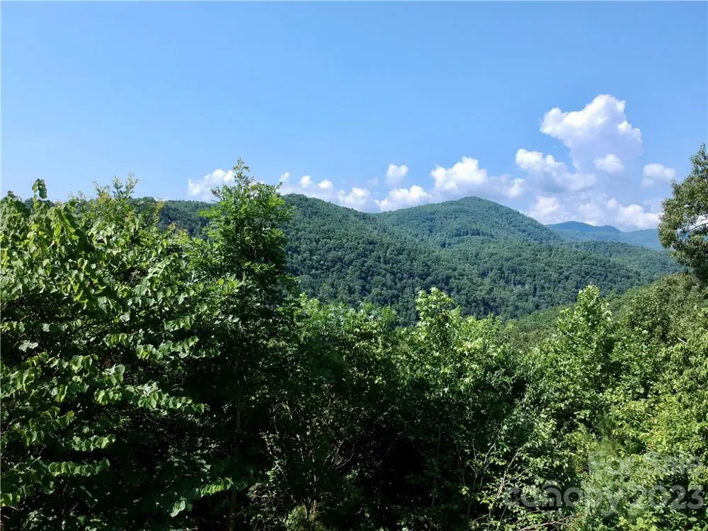 677 White Water Way #30 Marshall, NC 28753