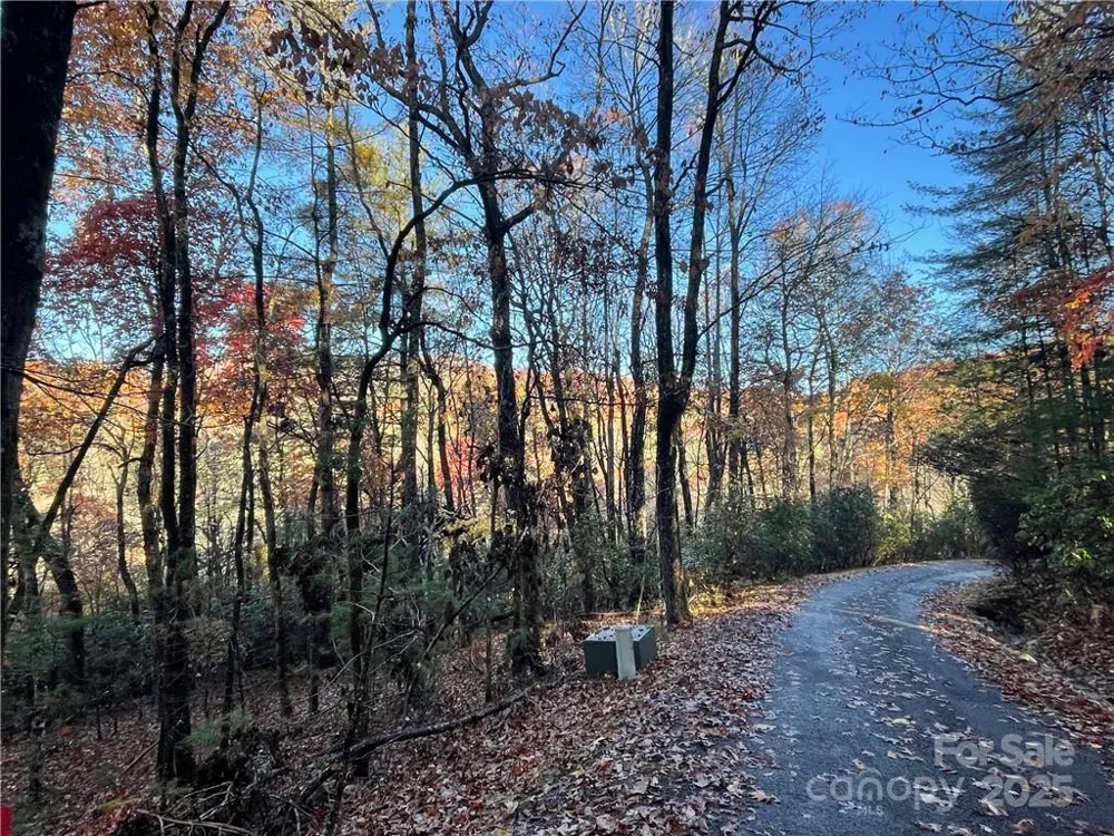 9999 Sassafras Road #4 Cedar Mountain, NC 28718