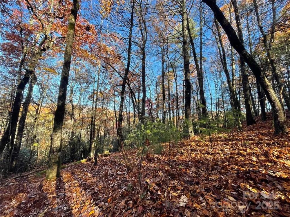 9999 Sassafras Road #4 Cedar Mountain, NC 28718