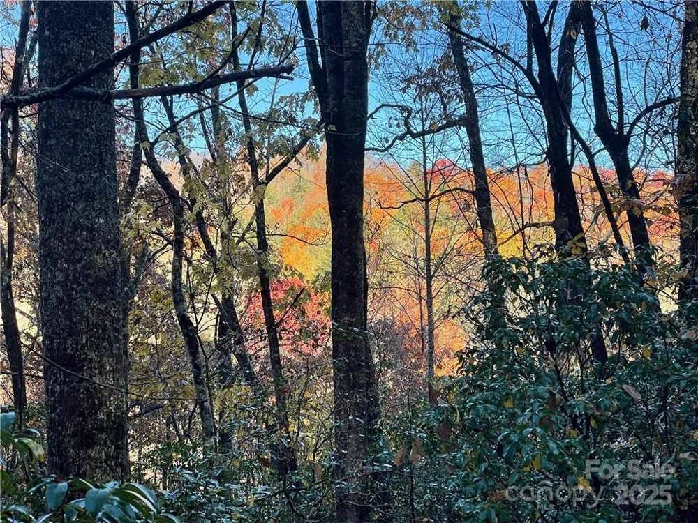 9999 Sassafras Road #4 Cedar Mountain, NC 28718