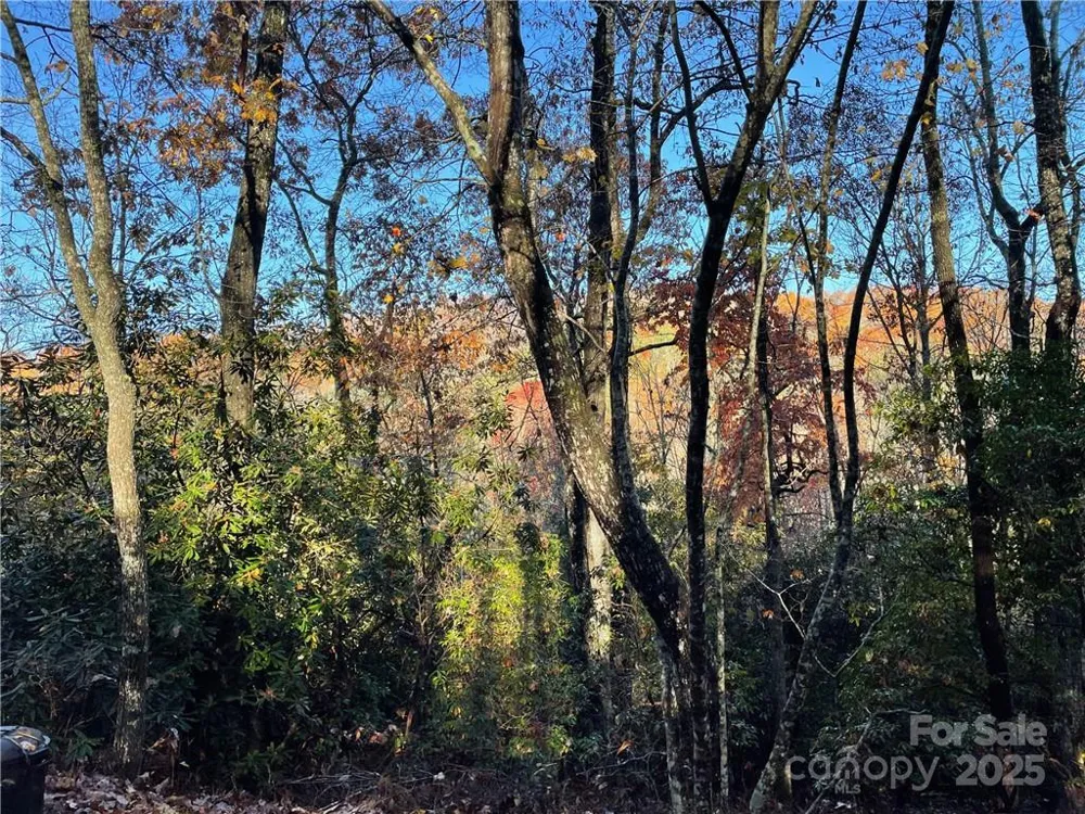 9999 Sassafras Road #4 Cedar Mountain, NC 28718