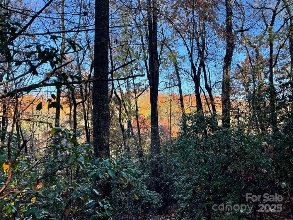 9999 Sassafras Road #4 Cedar Mountain, NC 28718