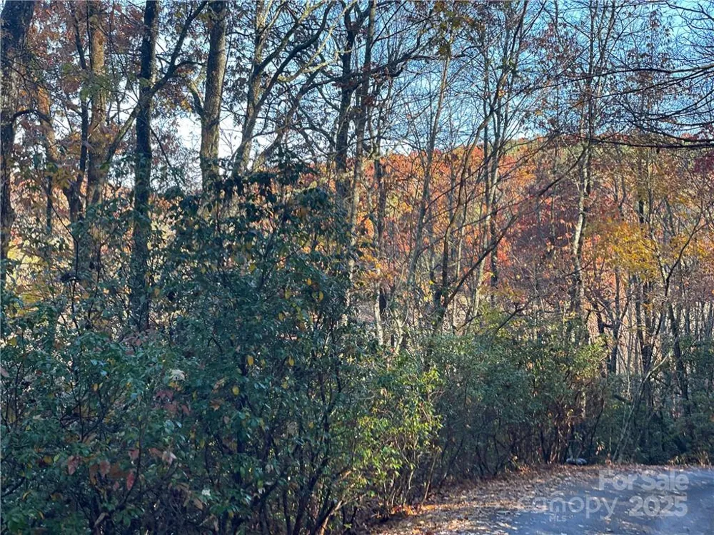 9999 Sassafras Road #4 Cedar Mountain, NC 28718