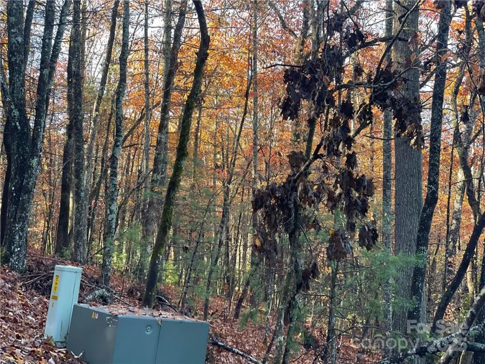 9999 Sassafras Road #4 Cedar Mountain, NC 28718