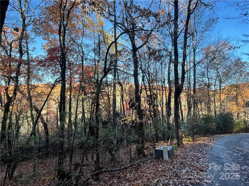 9999 Sassafras Road #4 Cedar Mountain, NC 28718
