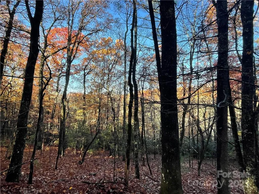 9999 Sassafras Road #4 Cedar Mountain, NC 28718