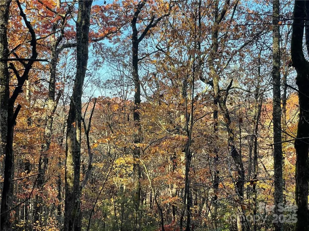9999 Sassafras Road #4 Cedar Mountain, NC 28718
