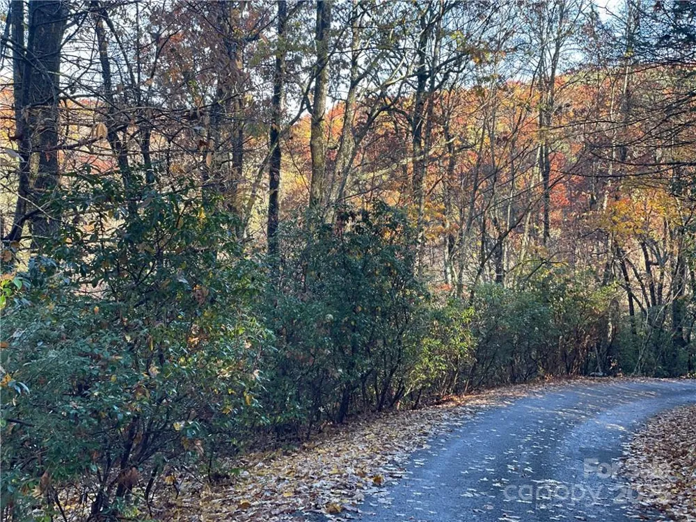 9999 Sassafras Road #4 Cedar Mountain, NC 28718