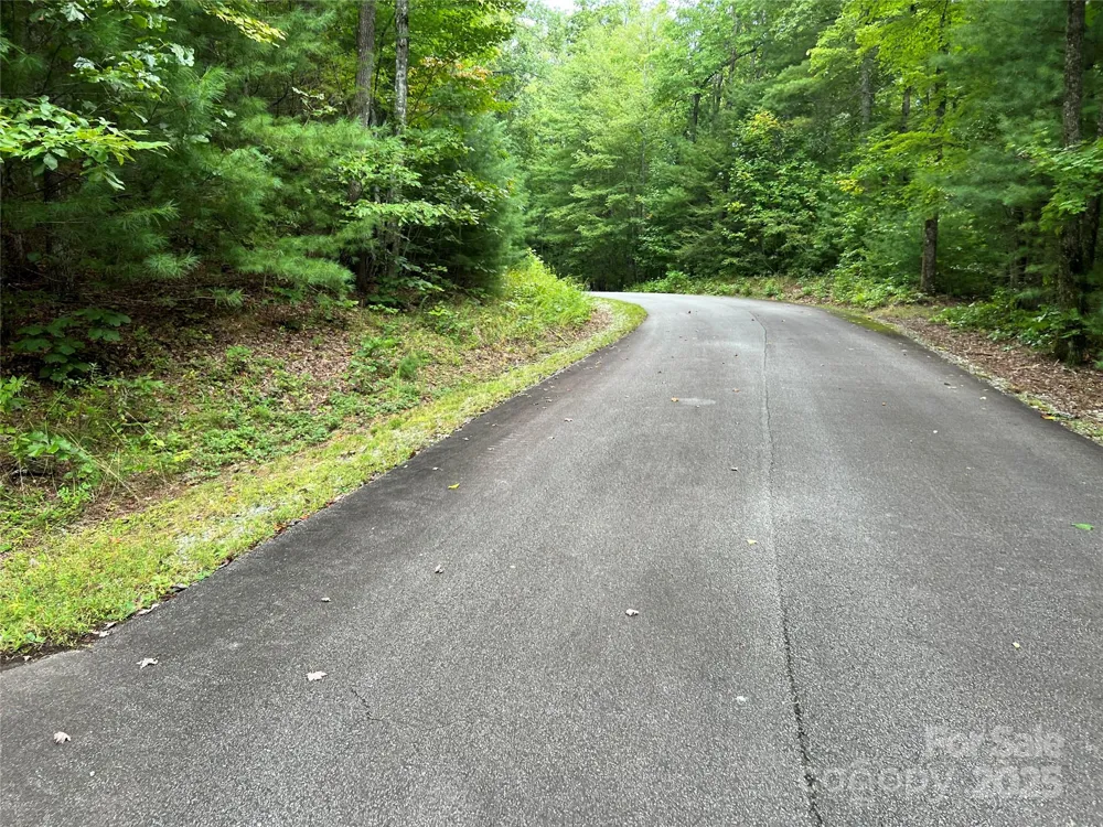9999 Sassafras Road #4 Cedar Mountain, NC 28718