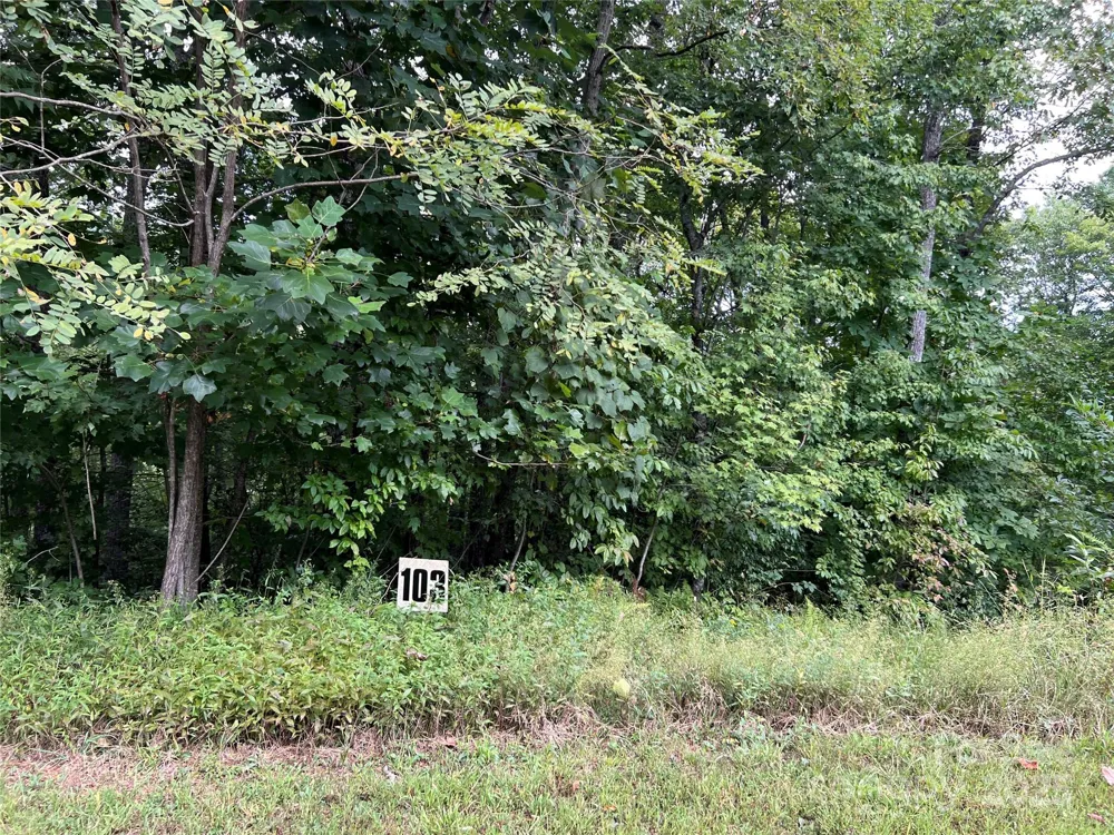 9999 Sassafras Road #4 Cedar Mountain, NC 28718
