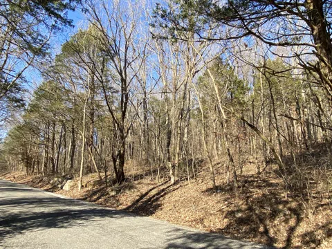 Lowes Gap Road
