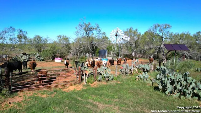 1913 County Road 3000 Pearsall, TX 78061