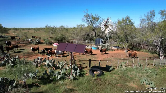 1913 County Road 3000 Pearsall, TX 78061