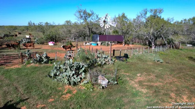 1913 County Road 3000 Pearsall, TX 78061