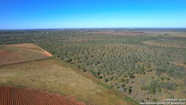 1913 County Road 3000 Pearsall, TX 78061