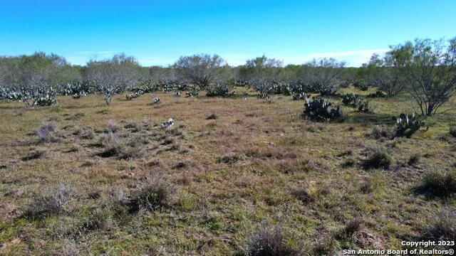 1913 County Road 3000 Pearsall, TX 78061