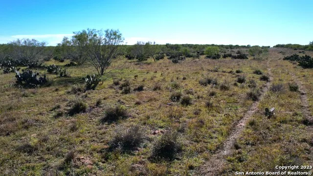1913 County Road 3000 Pearsall, TX 78061