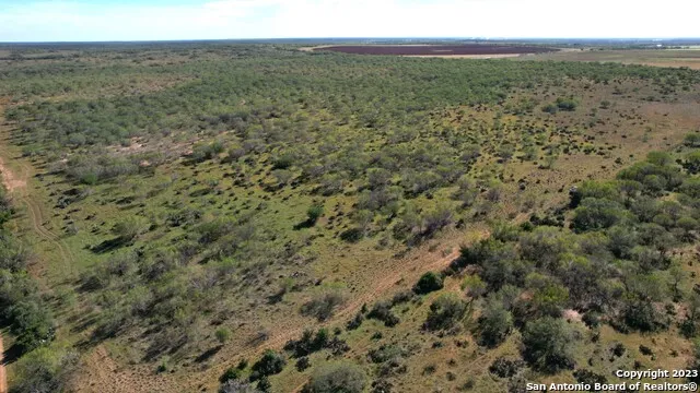1913 County Road 3000 Pearsall, TX 78061