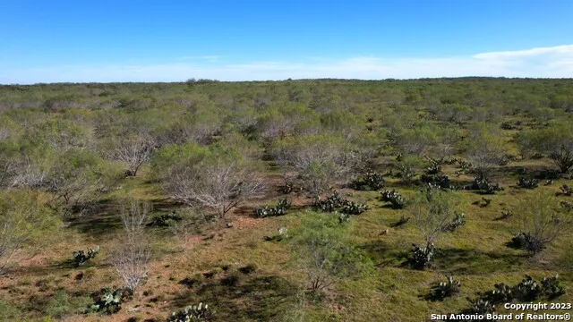 1913 County Road 3000 Pearsall, TX 78061