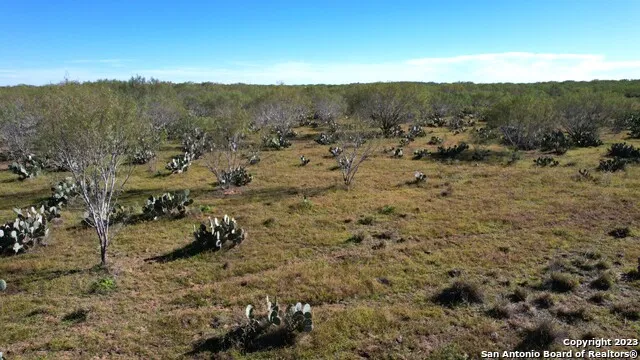 1913 County Road 3000 Pearsall, TX 78061