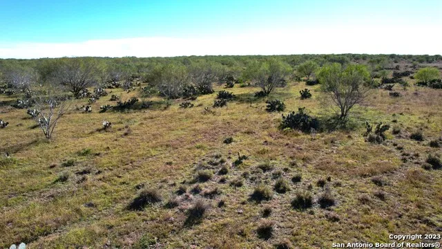 1913 County Road 3000 Pearsall, TX 78061