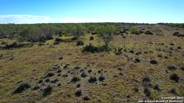 1913 County Road 3000 Pearsall, TX 78061