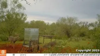 1913 County Road 3000 Pearsall, TX 78061