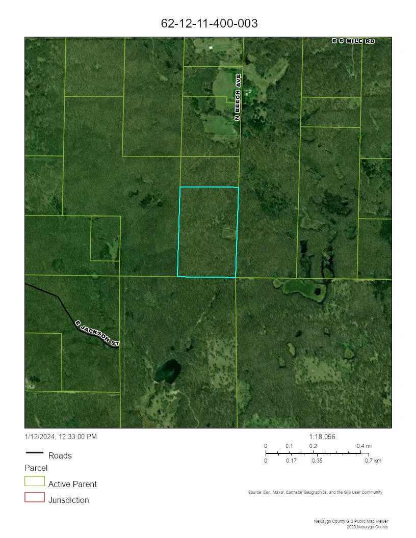 Beech Avenue White Cloud, MI 49349