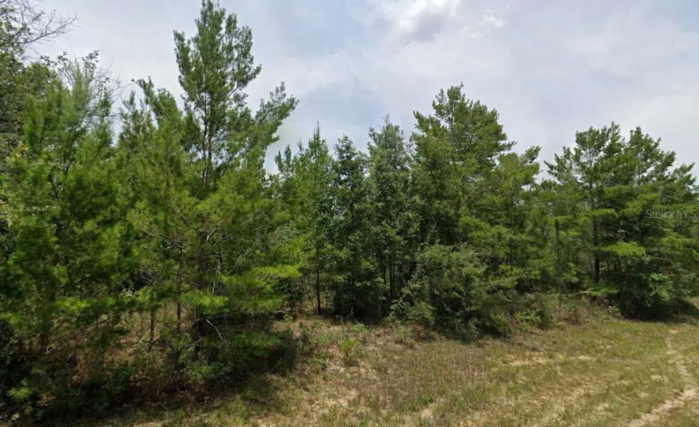 HAMPSHIRE BOULEVARD Chipley, FL 32428