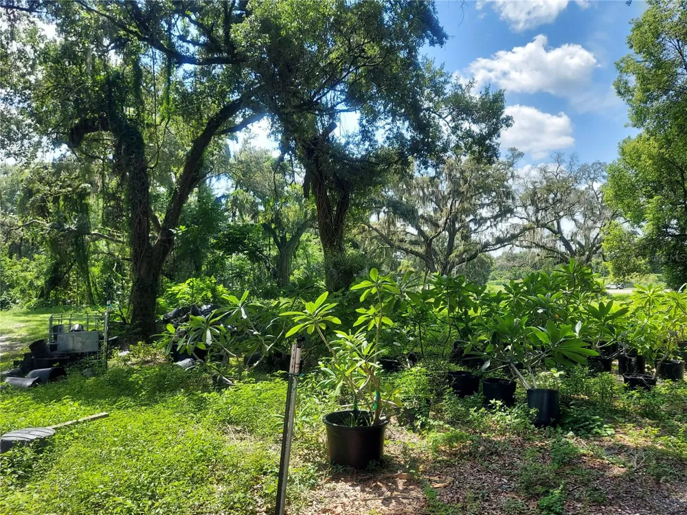453 W DR MARTIN LUTHER KING JR BOULEVARD Seffner, FL 33584