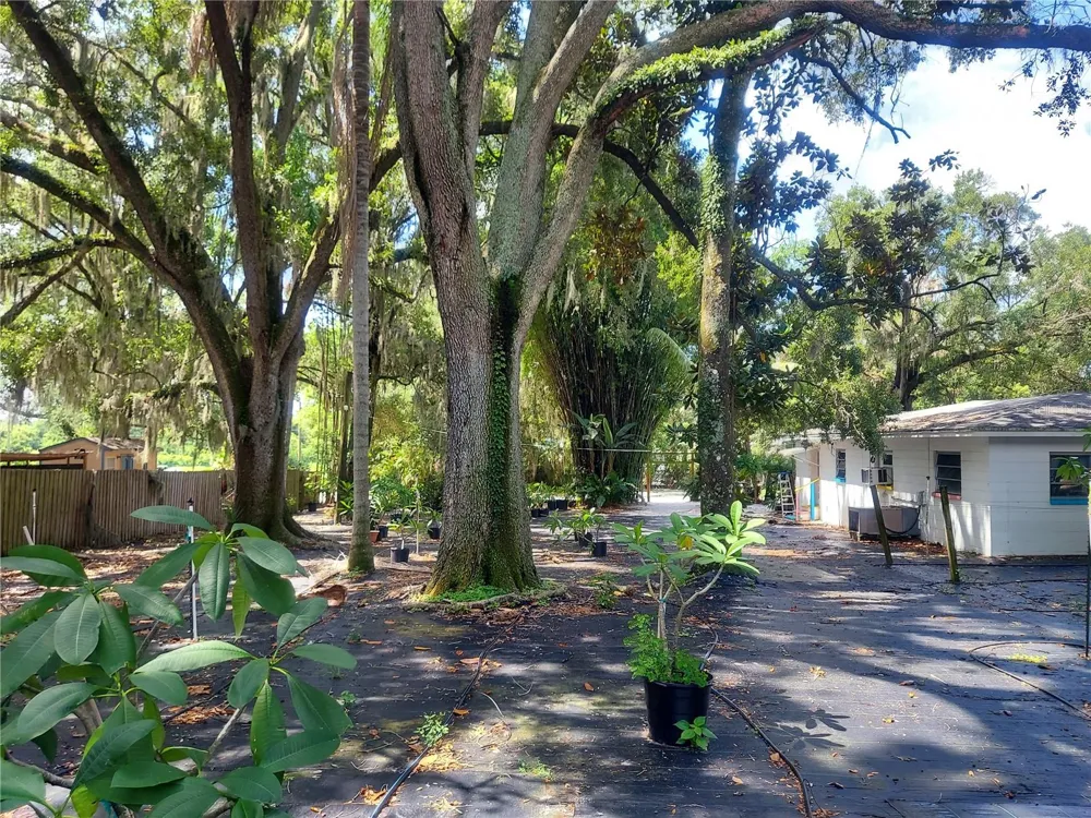 453 W DR MARTIN LUTHER KING JR BOULEVARD Seffner, FL 33584