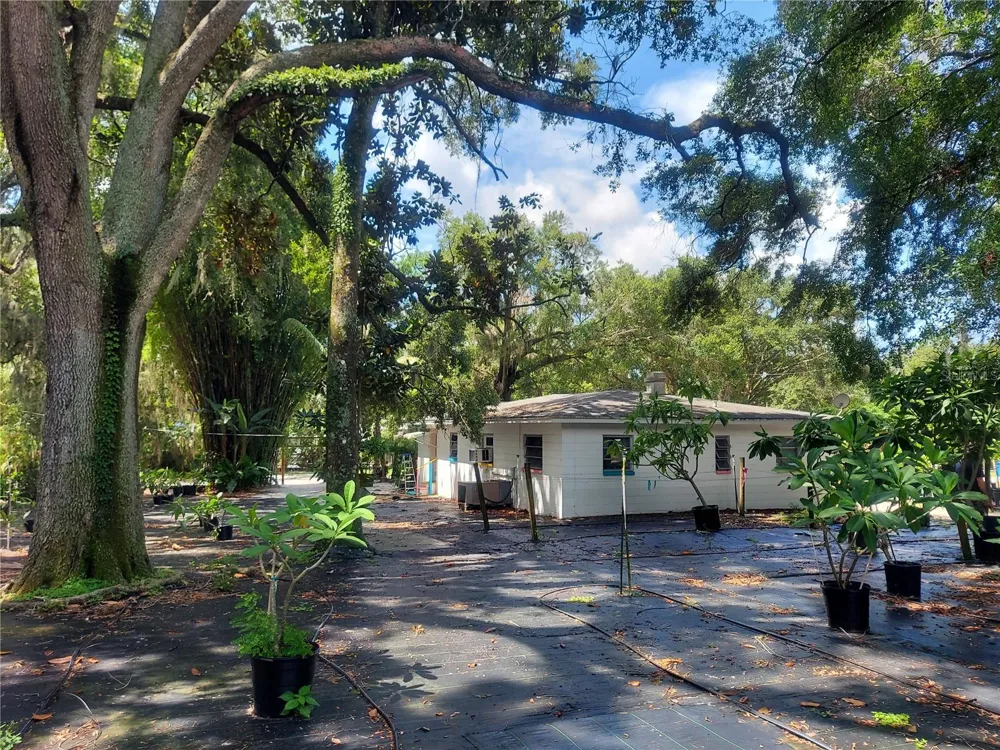 453 W DR MARTIN LUTHER KING JR BOULEVARD Seffner, FL 33584