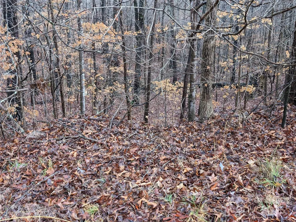255 Bowers Road Thomasville, NC 27360
