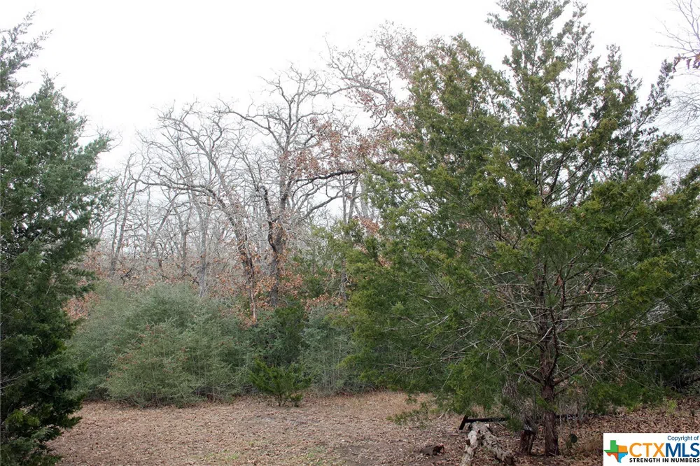 8729 E Fm 20 Dale, TX 78616