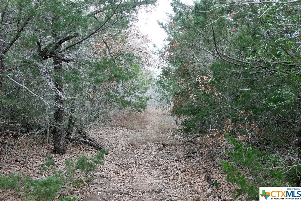 8729 E Fm 20 Dale, TX 78616