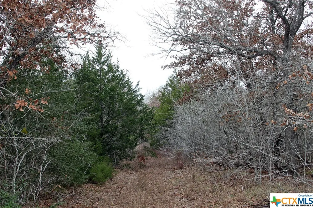 8729 E Fm 20 Dale, TX 78616
