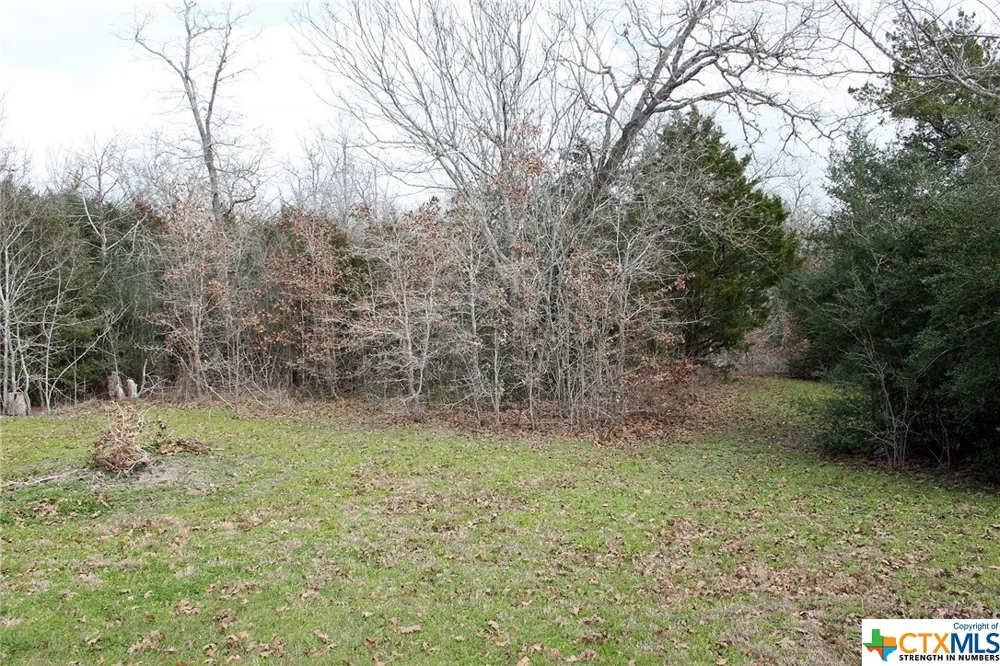 8729 E Fm 20 Dale, TX 78616