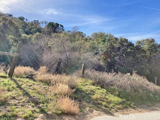 Calle Rosalito Green Valley, CA 91390