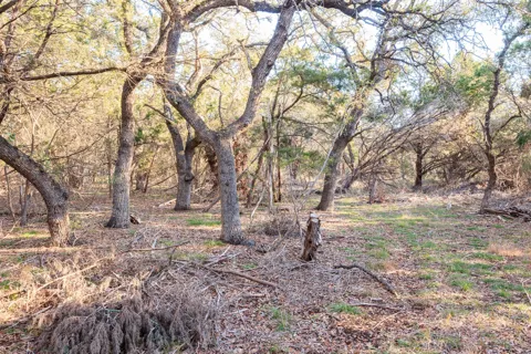 202 Thomas Oaks Drive