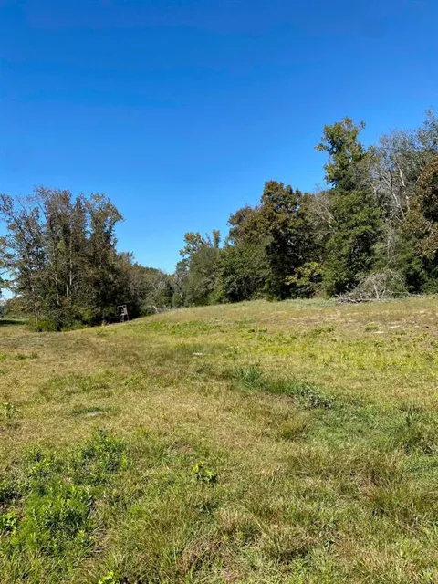 County Rd 242