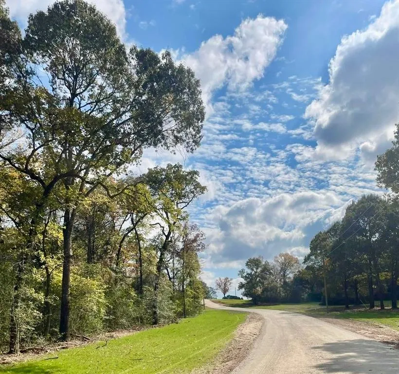 County Rd 242 Oakwood, TX 75855
