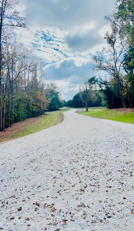 County Rd 242 Oakwood, TX 75855