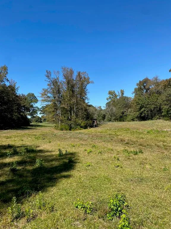 County Rd 242 Oakwood, TX 75855