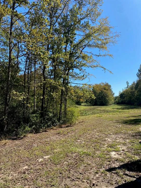 County Rd 242 Oakwood, TX 75855