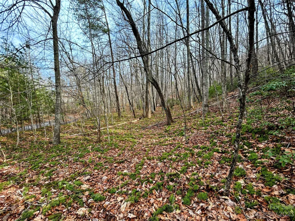 Lot 7 Azalea Way Saluda, NC 28773