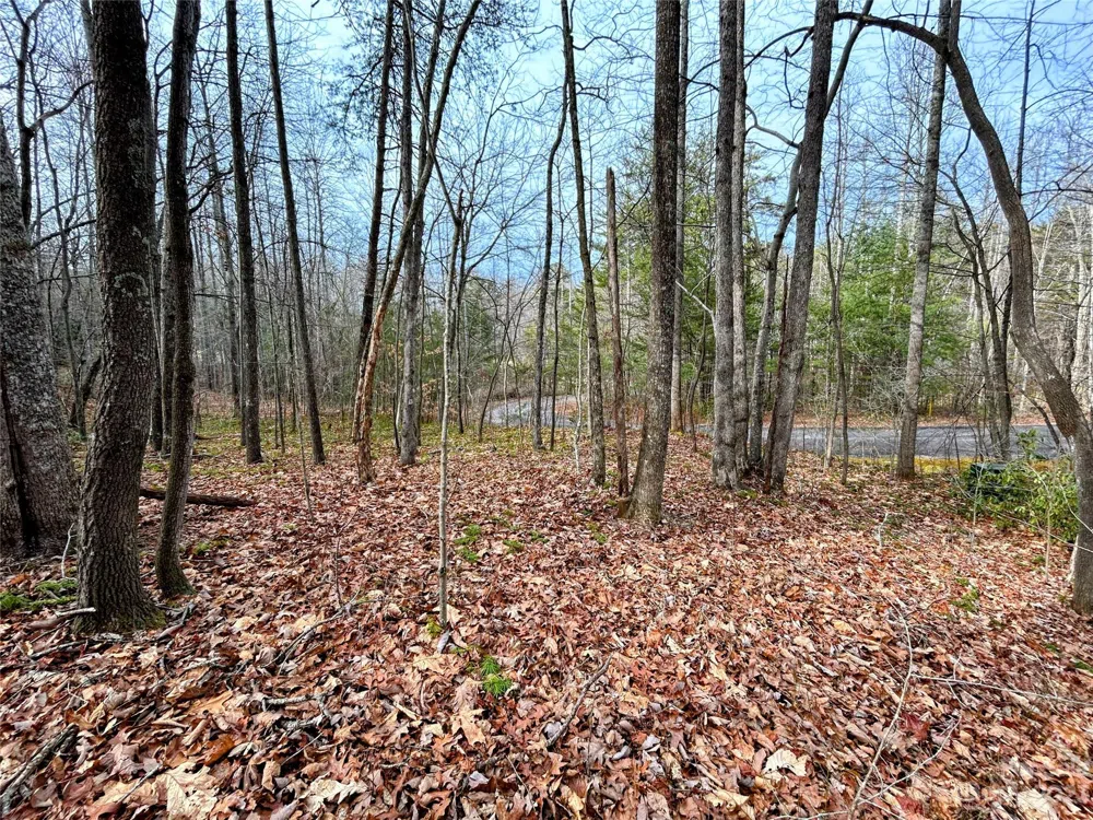 Lot 7 Azalea Way Saluda, NC 28773