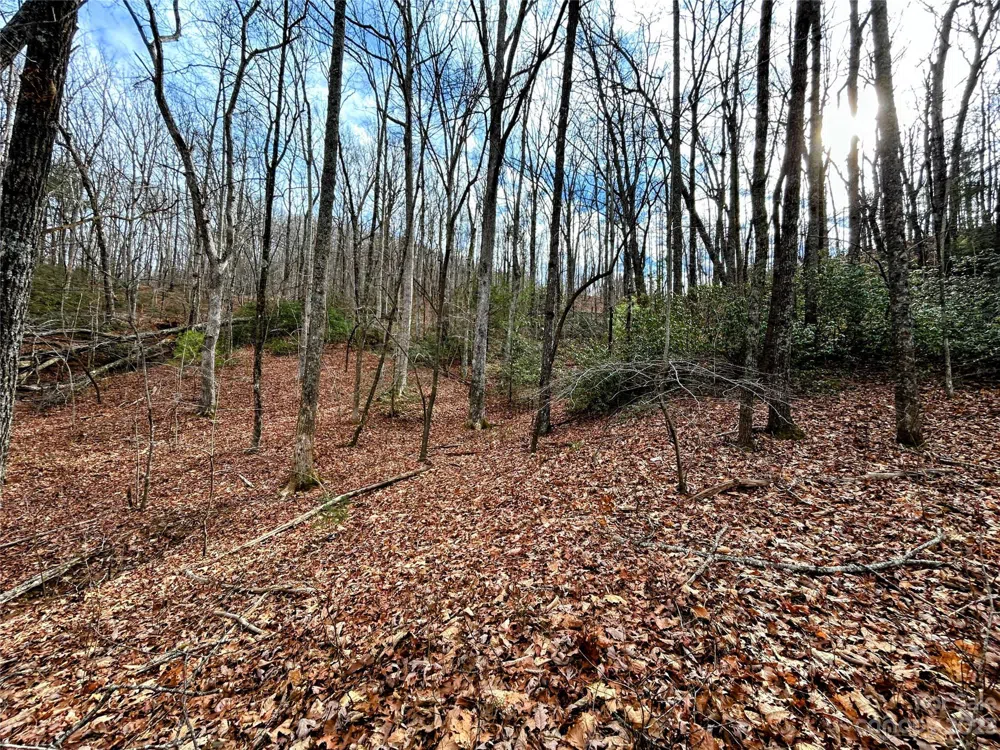Lot 7 Azalea Way Saluda, NC 28773